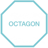 Octagon Financial Services Limited logo